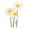 logo-krabickanadoma